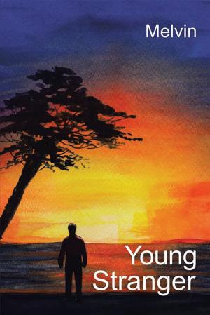 Cover of the book Young Stranger by Melandra H. Roberts