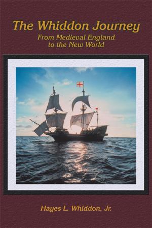 Cover of the book The Whiddon Journey by Wolfgang M. Schutte
