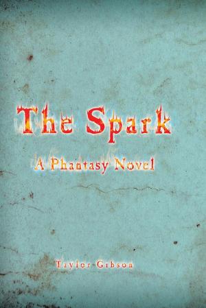 Cover of the book The Spark by Alica Mckenna Johnson
