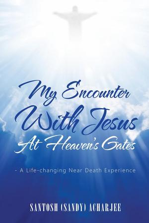Cover of the book My Encounter with Jesus at Heaven’S Gates by Stanley Turkel CMHS