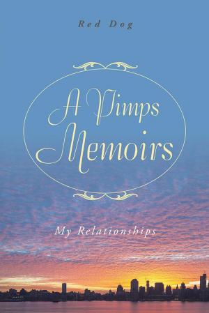 Cover of the book A Pimps Memoirs by Daniel Wagner