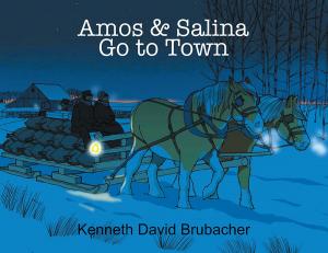 Cover of the book Amos & Salina Go to Town by Capt. Nicholas Stevensson Karas