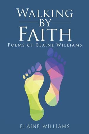 Cover of the book Walking by Faith by Roger Bourke White Jr.