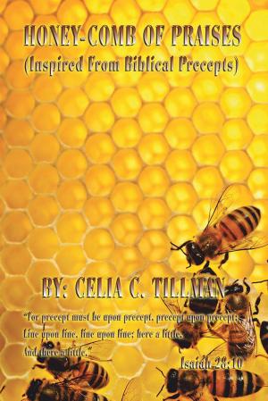 Cover of the book Honey-Comb of Praises by Ivano Bersini
