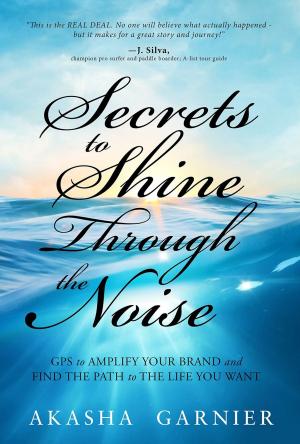 Cover of the book Secrets to Shine Through the Noise by Aneeta Pathak