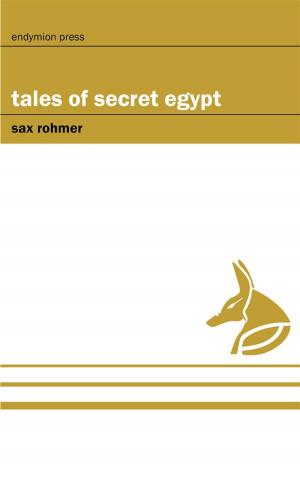 Cover of the book Tales of Secret Egypt by Misty M. Beller