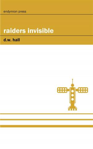 Cover of the book Raiders Invisible by E. David Anderson