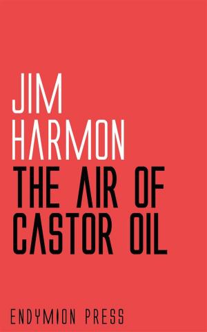 Cover of the book The Air of Castor Oil by Mary Parmele