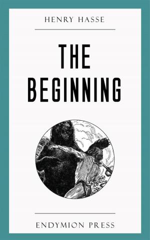 Cover of the book The Beginning by D.W. Hall