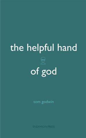 Cover of the book The Helpful Hand of God by Matthew James Lee