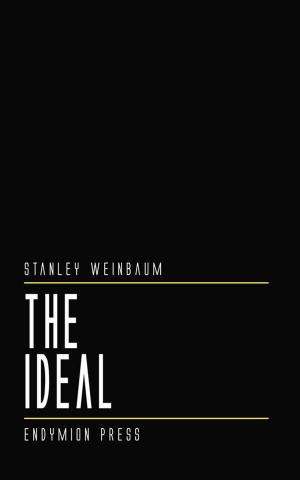 Cover of the book The Ideal by John Lord