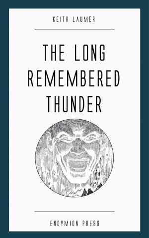 Cover of the book The Long Remembered Thunder by D. J. Medley