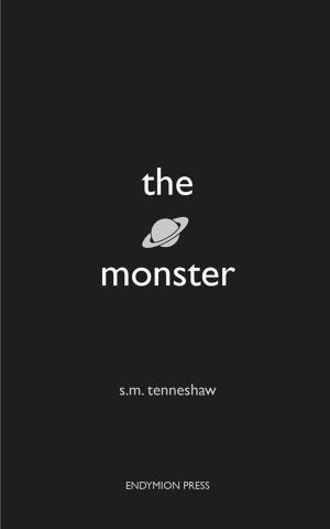 bigCover of the book The Monster by 