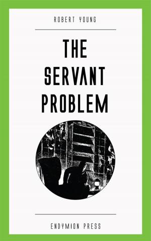 Cover of the book The Servant Problem by Robert E. Howard