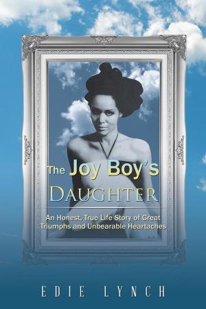 Cover of the book The Joy Boy’S Daughter by William Z. Shetter