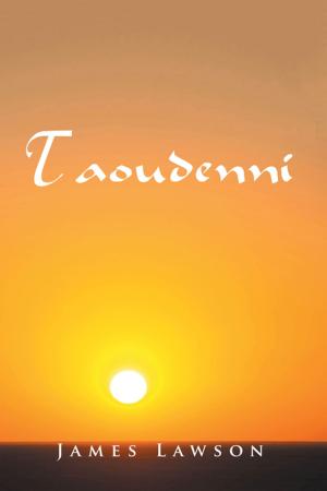 Cover of the book Taoudenni by Susan Nash