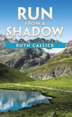 Cover of the book Run from a Shadow by J. J. Ballesteros