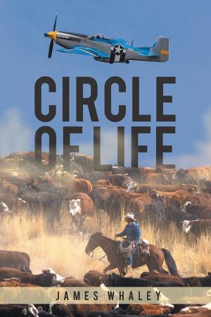 Cover of the book Circle of Life by Sander Zulauf