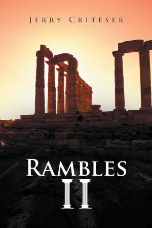 Cover of the book Rambles Ii by Lee Summers