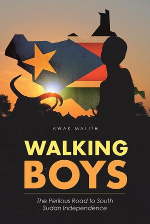 Cover of the book Walking Boys by Nathan Pollack