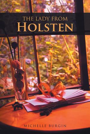 Cover of the book The Lady from Holsten by Syd Parker