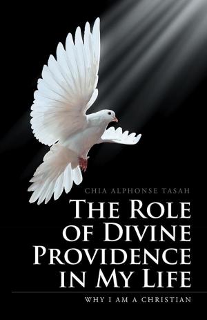 Cover of the book The Role of Divine Providence in My Life by Judith McAllister