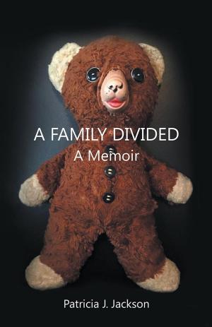 Cover of the book A Family Divided by Fran Drescher, Cary Presant