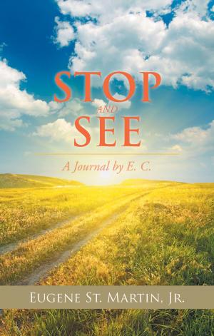 Cover of the book Stop and See by Jo Wharton Heath