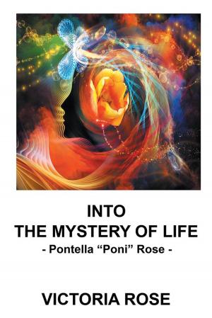 Cover of the book Into the Mystery of Life by Joe Novak