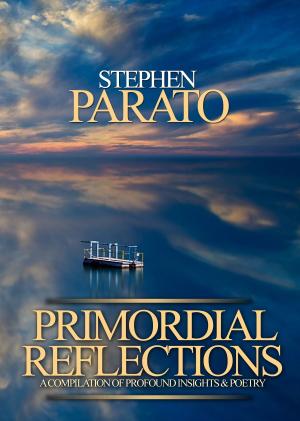 Book cover of Primordial Reflections: A Compilation of Profound Insights and Poetry
