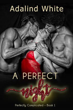 Cover of the book A Perfect Night by Isadora Rose