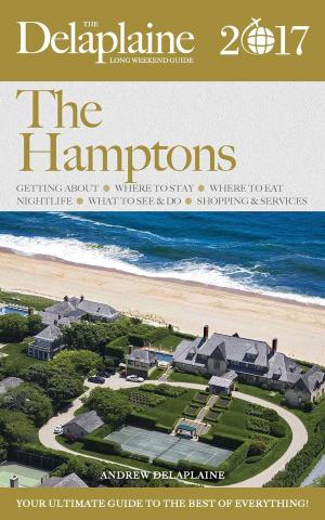 Book cover of The Hamptons - The Delaplaine 2017 Long Weekend Guide