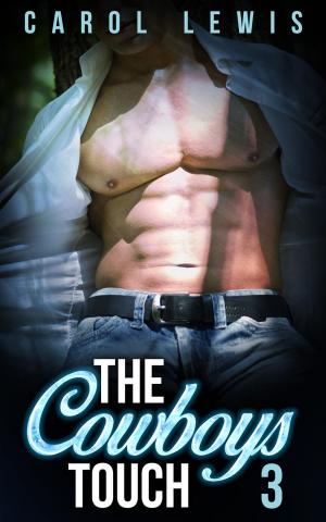 Book cover of The Cowboys Touch: 3