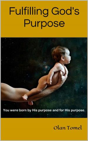 bigCover of the book Fulfilling God's Purpose by 