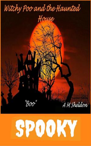Cover of Witchy Poo and the Haunted house