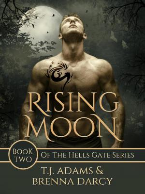 Cover of the book Rising Moon by RIHO SACHIMI