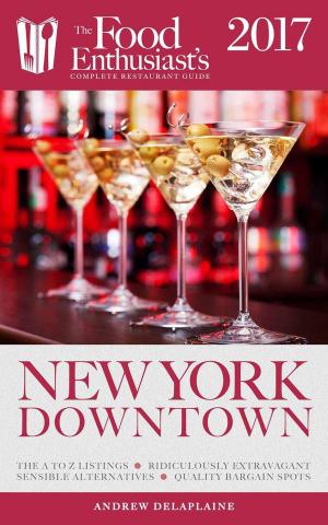 Cover of the book New York / Downtown - 2017 by Andrew Delaplaine