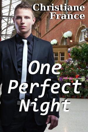 Cover of the book One Perfect Night by Jordane Cassidy