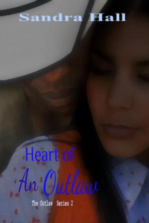 Cover of the book Heart Of An Outlaw by Ashley York