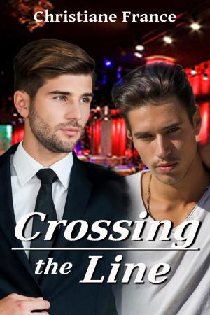Cover of the book Crossing The Line by Amelia Wilde