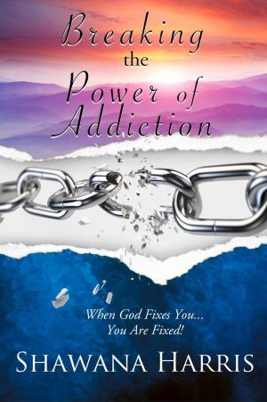 Cover of the book Breaking the Power of Addiction by Julia Nastasi