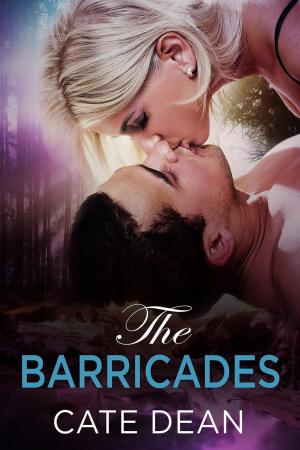 bigCover of the book The Barricades by 