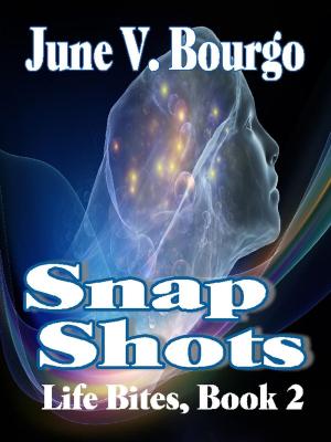 Cover of the book Snap Shots by Rochelle Schieck