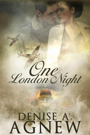 Cover of the book One London Night by Susan Clarks
