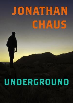 Cover of the book Underground by Peter James West
