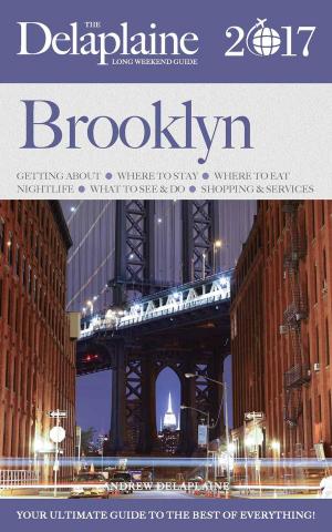 Cover of Brooklyn - The Delaplaine 2017 Long Weekend Guide