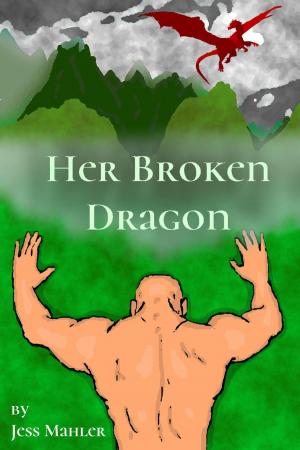 Cover of the book Her Broken Dragon by J.T. Hartke
