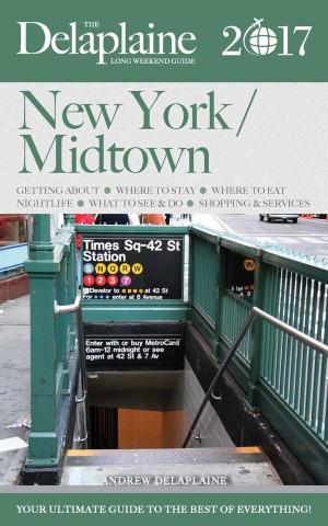 Cover of New York / Midtown - The Delaplaine 2017 Long Weekend Guide