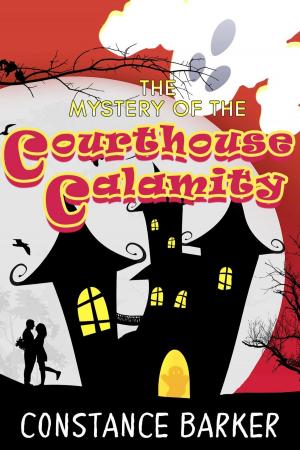 Cover of the book The Mystery of the Courthouse Calamity by Ken Leek