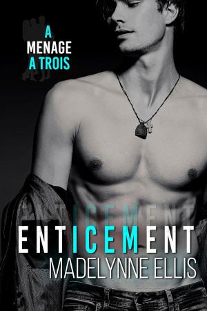 Cover of the book Enticement by Madelynne Ellis